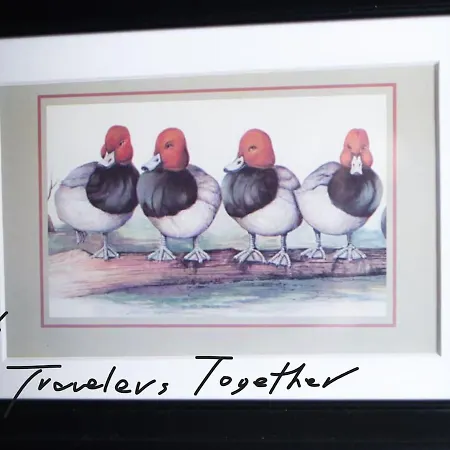 4 Travelers Together شقة *